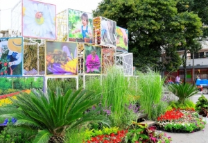 As&iacute; avanzan los preparativos para la XII edici&oacute;n de &ldquo;La Flor M&aacute;s Bella&rdquo;