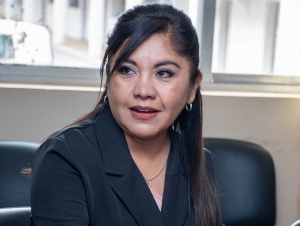 Aguas seguras en la Puna: reconocimiento parlamentario a la ingeniera Luciana Pizarro