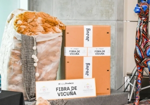Acuerdan nuevas exportaciones de fibra de vicu&ntilde;a a Italia