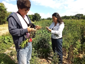 Agrónomos: “el sector agroindustrial demanda nuevos perfiles especializados”