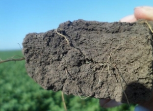 Impulsan ley sobre Suelo y tierras degradadas