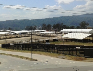 Muestra juje&ntilde;a como herramienta de desarrollo