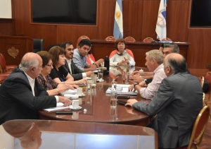 Obra Social sin arancel diferenciado: legisladores, Instituto de Seguros y Colegio Médico analizaron cambios en la ley