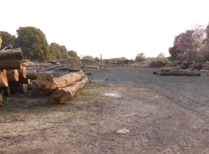 Parque industrial y producci&oacute;n maderera, parte de la agenda entre Provincia y Caimancito