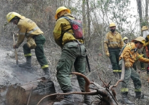 Incendios forestales en grado de &ldquo;peligro extremo&rdquo;: preocupaci&oacute;n por la afectaci&oacute;n de &aacute;reas protegidas