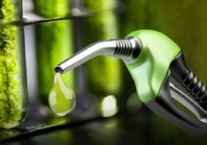 Biocombustibles: se analizar&aacute; el potencial del sector a escala continental