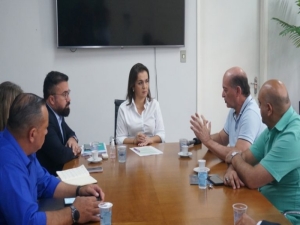 Exploran nuevas oportunidades de negocios con Brasil