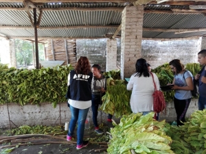 Trabajo no registrado, monotributistas y posnet bajo la lupa