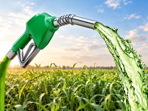 Biocombustibles: nueva etapa para la inversión y el desarrollo agroindustrial