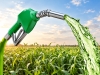Biocombustibles: nueva etapa para la inversión y el desarrollo agroindustrial