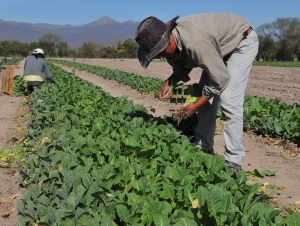 Proyecto Manantiales: Beneficiar&aacute; a 180 productores