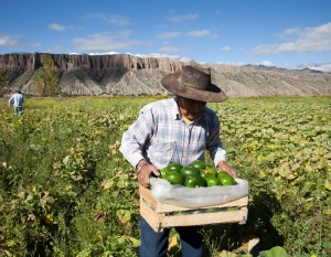 "Pol&iacute;ticas inclusivas", la demanda en el Congreso Nacional de Agricultura Familiar