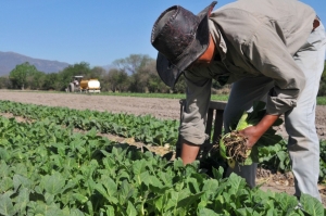 Los costos de las econom&iacute;as regionales subieron un 73%