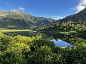 Jujuy destacada en la protección de sus bosques nativos