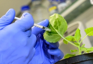 Inicia formación de "bioemprendedores" a través de capacitaciones libres y gratuitas