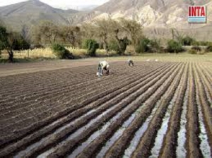 Qui&eacute;n es la nueva presidenta del INTA