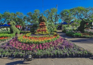 Jujuy Florece, propuesta imperdible que cierra este 18 de noviembre