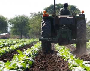 La opini&oacute;n: El rol clave del sector privado en la reactivaci&oacute;n de la econom&iacute;a