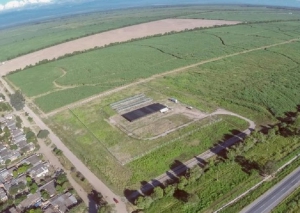 Forestaci&oacute;n: &ldquo;1 mill&oacute;n de hect&aacute;reas a desarrollar&rdquo; frente a la falta de madera local