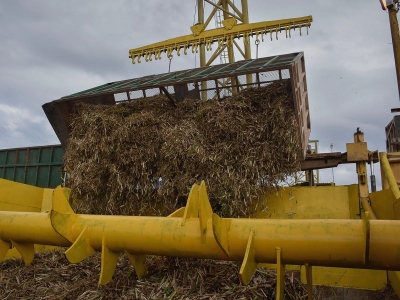 El NOA ya lleva 3,5 millones de toneladas de caña procesada y contabiliza una positiva campaña exportadora