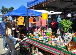 Nuevo Mercado de Pulgas: exitoso lanzamiento