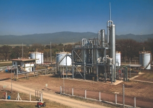 Biocombustibles: &ldquo;Un gran paso para la transici&oacute;n energ&eacute;tica y el desarrollo federal&rdquo;