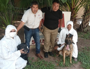 Canes guardianes: la uni&oacute;n posible de perros, productores e investigadores para salvar la citricultura del NOA