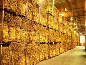 Tabaco: &ldquo;Este valor no es suficiente, no alcanza para cubrir las necesidades de nuestros productores, pero fue lo posible&rdquo;