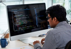 El Gobierno prev&eacute; crear una nueva empresa nacional de software