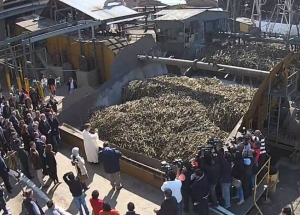 "Aumenta el precio de los combustibles f&oacute;siles y nos quieren bajar el precio del bioetanol"