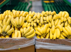 Anuncian el refuerzo de controles fitosanitarios para proteger la producción frutihortícola