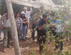Sin descanso: as&iacute; enfrenta Yuto los grandes desaf&iacute;os productivos