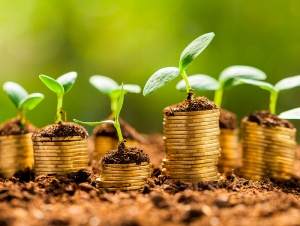 La Bolsa Argentina de Carbono lanz&oacute; la primera plataforma digital para certificados ecol&oacute;gicos