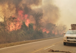 Se quemaron m&aacute;s de 2.100 hect&aacute;reas en Yuto y el fuego avanza