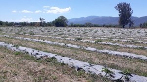 Jujuy pone en marcha el “Proyecto de Desarrollo de Cuencas de Alcaparras”