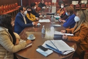 Avanza el Proyecto de Ley del "Dia La Mujer Juje&ntilde;a"