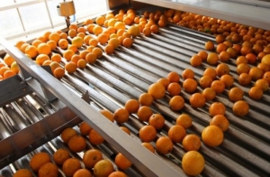 La mesa de competitividad citr&iacute;cola analiz&oacute; la apertura de nuevos mercados