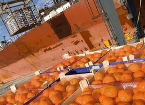 Golpe a la producci&oacute;n regional: &ldquo;da&ntilde;o inmediato&rdquo; y &ldquo;dif&iacute;cil de mensurar&rdquo;