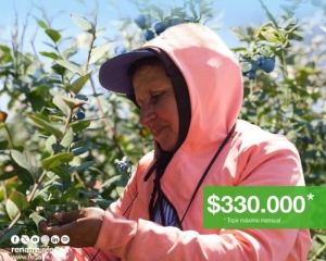 Del 5 al 20 de noviembre el RENATRE realizará los pagos por prestación por desempleo