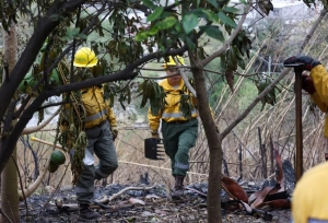 Incendios forestales y la amenaza de S&uacute;per El Ni&ntilde;o: &ldquo;a esta batalla no la ganamos &uacute;nicamente apagando el fuego&rdquo;