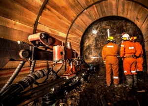La opini&oacute;n: "Ley de Inversiones Mineras: La necesidad de reformar lo dispuesto sobre regal&iacute;as"