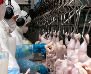 Vuelven las exportaciones de carne aviar a la Uni&oacute;n Europea