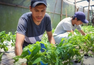J&oacute;venes emprendedores del norte juje&ntilde;o quedan eximidos de pagar un impuesto