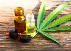 Presentan el proyecto de ley para desarrollar la industria del cannabis medicinal