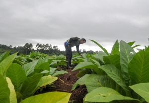 Avanza el Programa de Incremento Exportador que lanz&oacute; Massa