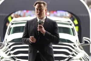 La agenda minera de Elon Musk en Argentina