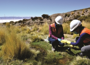 Sostenibilidad y la Transparencia: EXAR presenta sus est&aacute;ndares