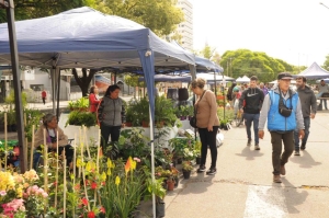 Este fin de semana llega la quinta edici&oacute;n de Jujuy Florece
