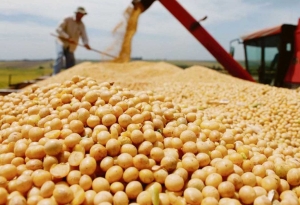 El Gobierno anunci&oacute; que el nuevo d&oacute;lar soja cotizar&aacute; a $200 durante septiembre