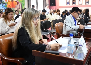 Habilitaciones comerciales: volvi&oacute; a comisi&oacute;n el proyecto para facilitar el tr&aacute;mite